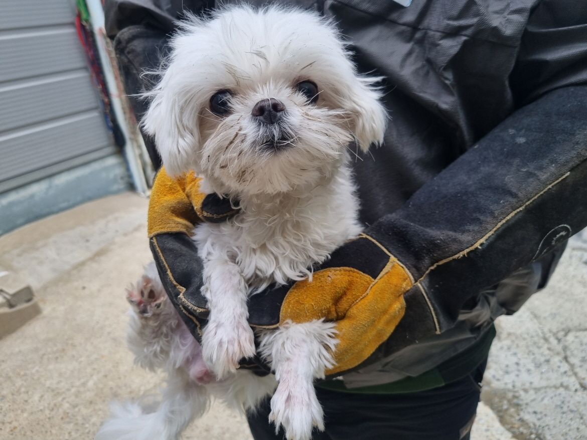 양산시 동물보호센터_448538202400056